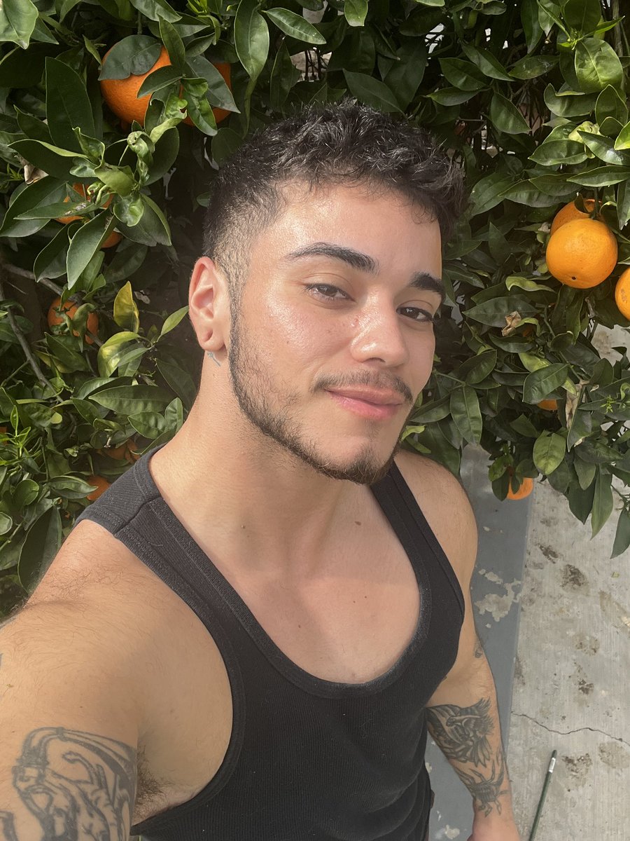 Apollo Moon🏳️‍⚧️ tweet media