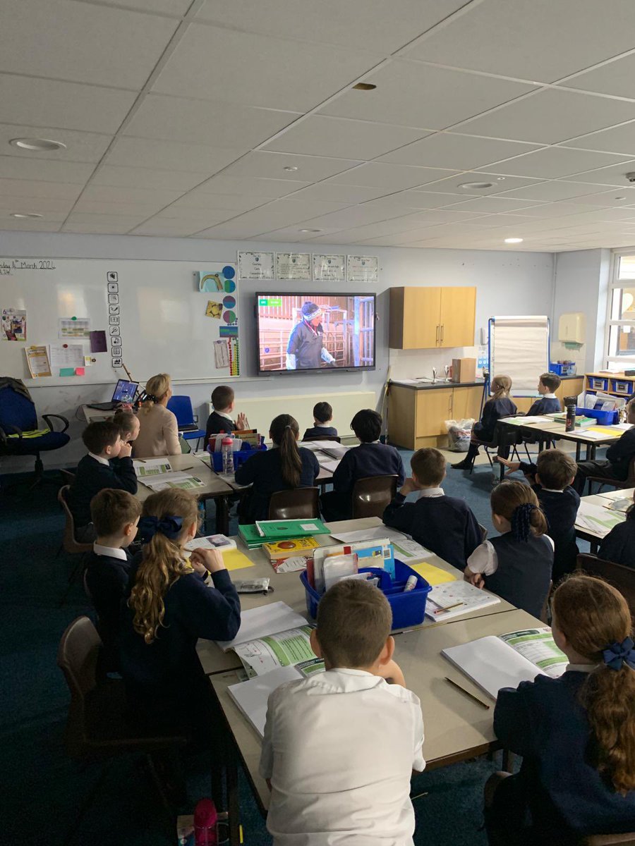 This morning, Year 3 took part in a live science lesson called Science Farm Live as part of #BritishScienceWeek We really enjoyed it and even got to see a live cow birth. How amazing! @NFUEducation @the3saints @NW_LP