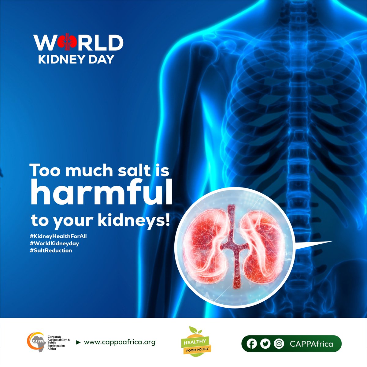 Today @CAPPA, we raise awareness about the impact of high salt intake on the kidneys and advocate for mandatory salt/sodium regulations for processed foods in Nigeria. #KidneyHealthForAll #WorldKidneyday #SaltReduction