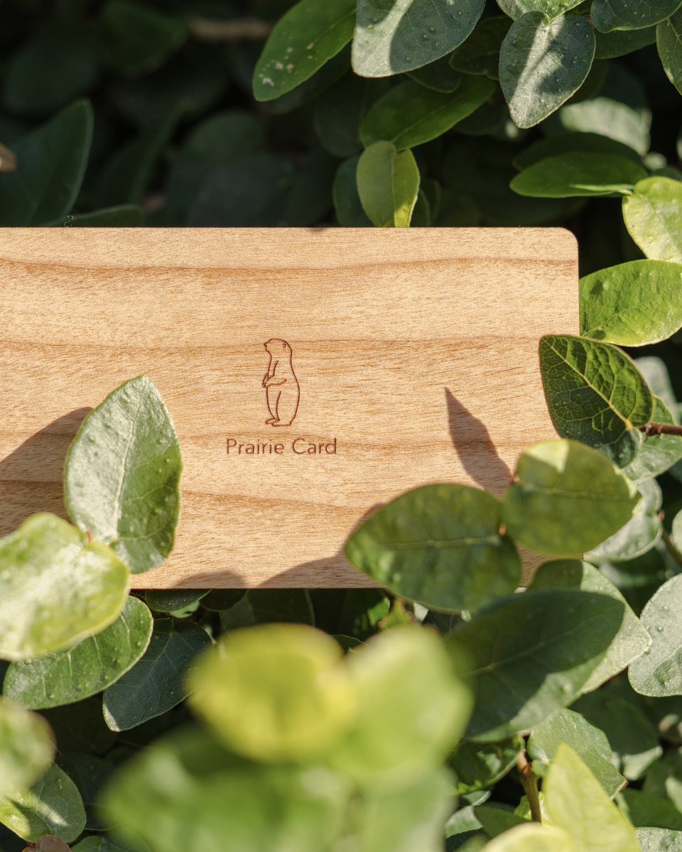 いよいよ明日搬入、土日展示となった #未来芸術展 2024✨
元気になってきたと思ったら、また体調不良な感じに😢ワガママぼでーめ。。
そんなこんなで、土曜日のお昼くらいにちょこっと行けるかな？というくらいですが、プレーリーカードを設置しとくのでスマホかざしてみてくださいね💕