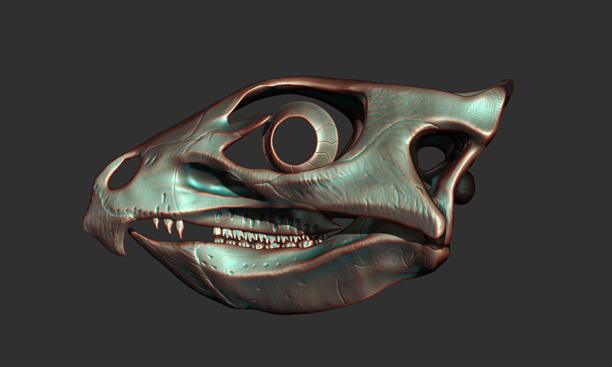 ArtofFabricious's tweet image. Whilst my go-to resin is delayed until mid April, I'm preparing some models for printing for my Etsy shop. Here's Aquilops americanus, the only skull I've made so far, for life sized printing! Stay tuned!
etsy.com/shop/TheArtofF…