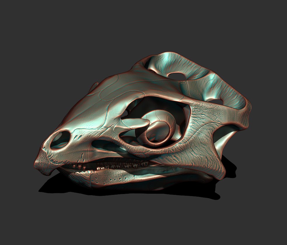 ArtofFabricious's tweet image. Whilst my go-to resin is delayed until mid April, I'm preparing some models for printing for my Etsy shop. Here's Aquilops americanus, the only skull I've made so far, for life sized printing! Stay tuned!
etsy.com/shop/TheArtofF…