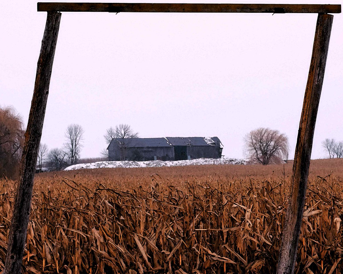 'Field of Dreams' #photography #art #photooftheday