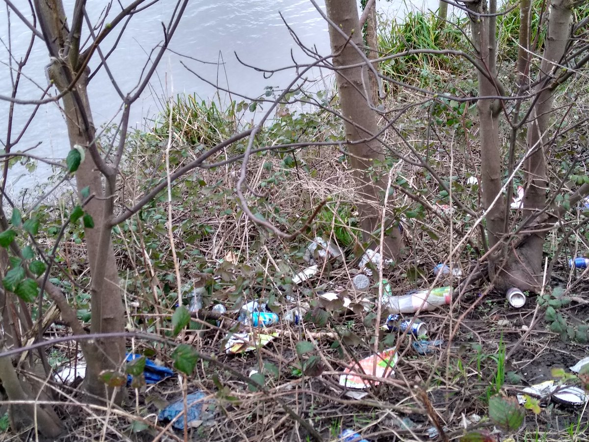 In #Cardiff for meetings - truly shocking to see amount of #PlasticPollution on banks of River Taff when walking Taff Trail. Looks like waste dump site! Some of worst plastic/ litter pollution I've seen in UK. Is there a clean up plan? Cardiff please sort this out! Happy to help.