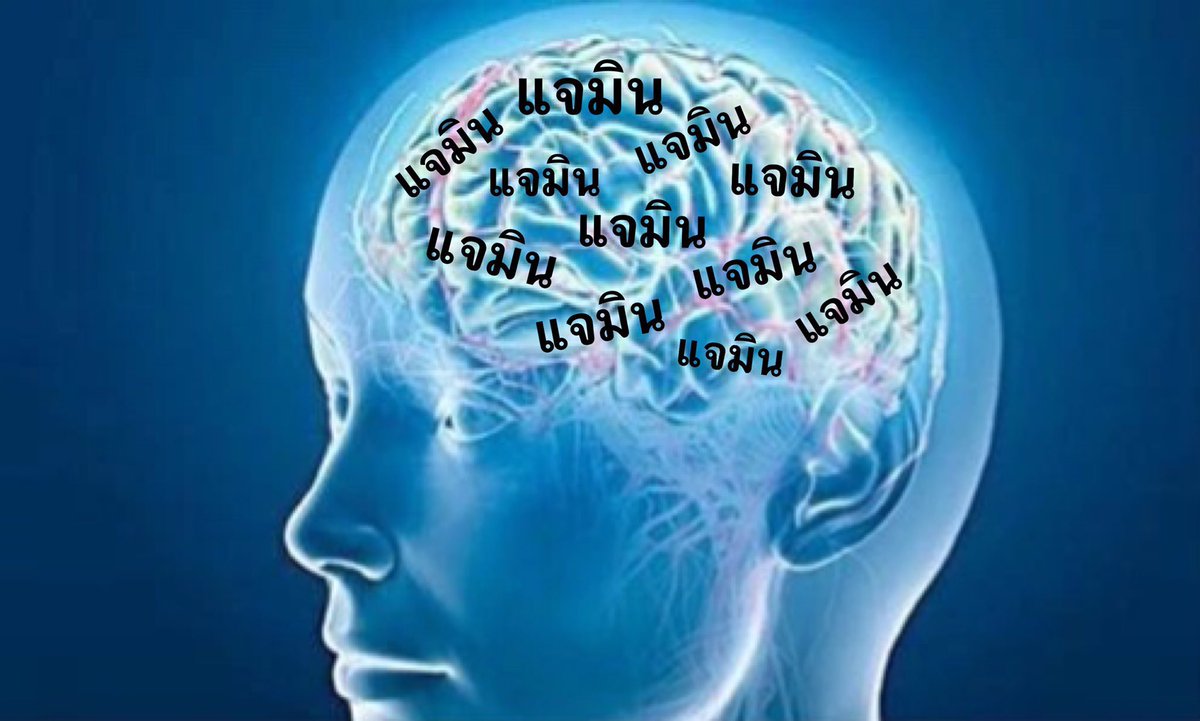 𝙖𝙨𝙞𝙣 𝟐𝟑𝟏𝟑% tweet media