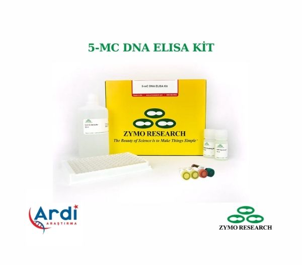 5-mC DNA ELISA Kit 🚀

⚡DNA'da global 5-metilsitozinin (5-mC) yüksek verimli tespiti için 🔬

⚡Kolaylaştırılmış iş akışı 3 saatten daha kısa sürede tamamlanabilmektedir. 🧬