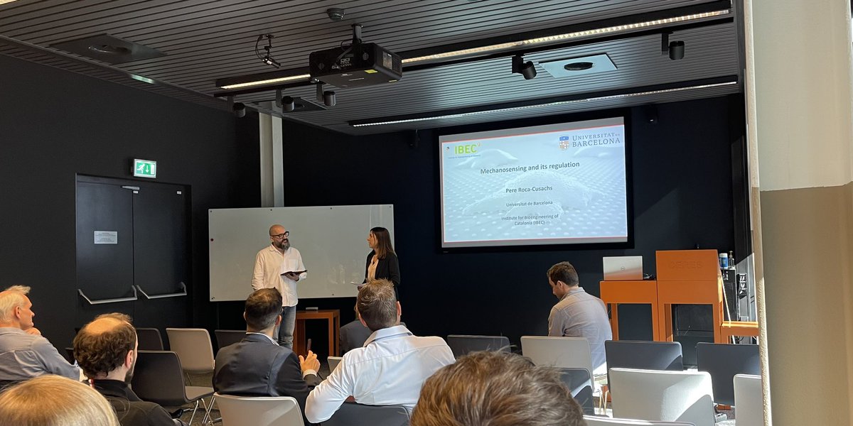 van Hest Lab tweet media