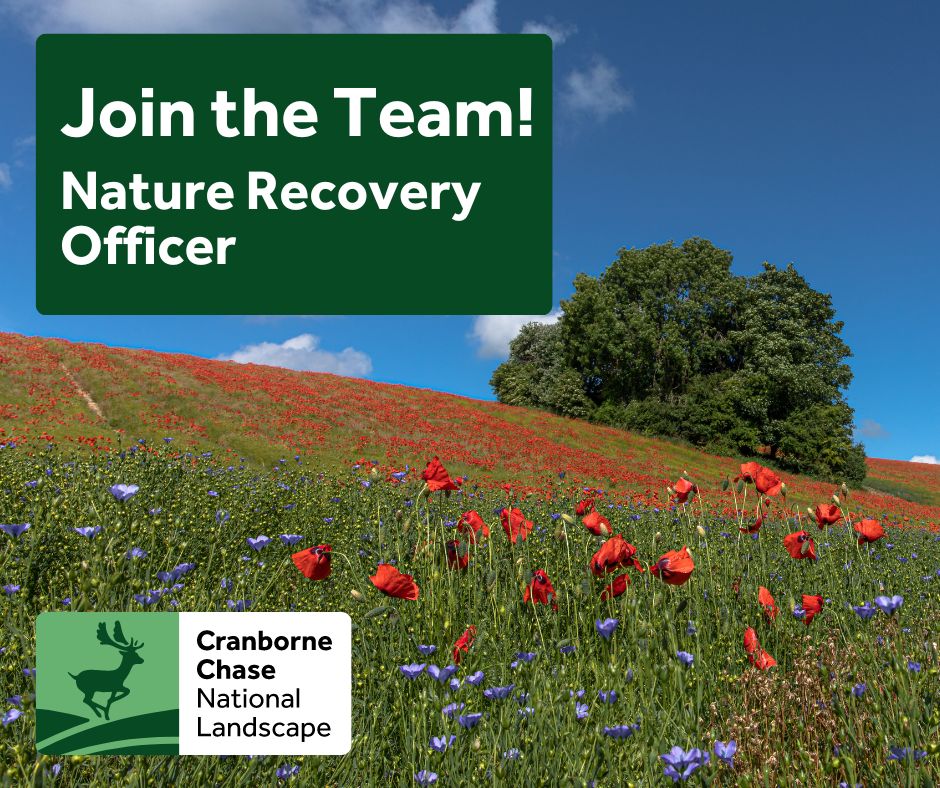 Join the Team! We are recruiting a Nature Recovery Officer… 🌸🦋🐞🦔 Find out more and apply here 👉 …asfaukgovprod1.fa.ocs.oraclecloud.com/hcmUI/Candidat… #dorsetjobs #wiltshirejobs #landscapejobs #naturerecovery #naturerecoveryjobs #protectedlandscapes
