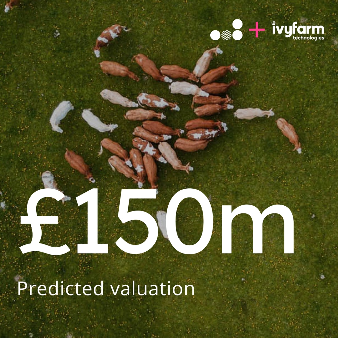 Strengthening <a href="/ivyfarm_tech/">Ivy Farm</a> 's brand began with a solid investor strategy. Our team at <a href="/move78dotstudio/">Move78 🔴✨</a> crafted a compelling pitch deck and strategy to attract the right investors.

From concept to delivery, our guidance ensured maximum impact. #casestudy