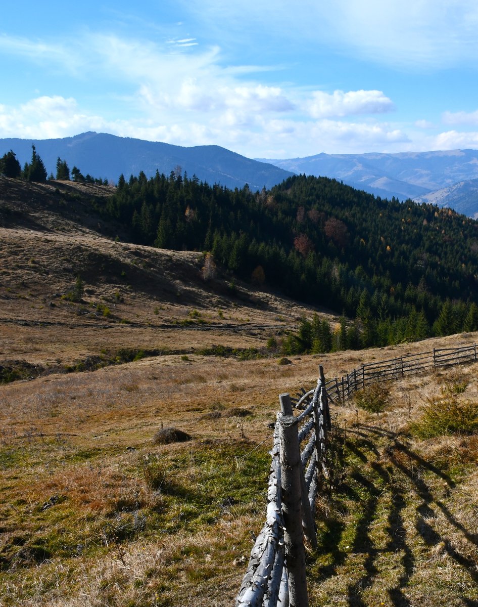 Simple fences keep cattle closed (most of the time) and the landscape open for wildlife.

#smallscalefarming #easterncarpathians