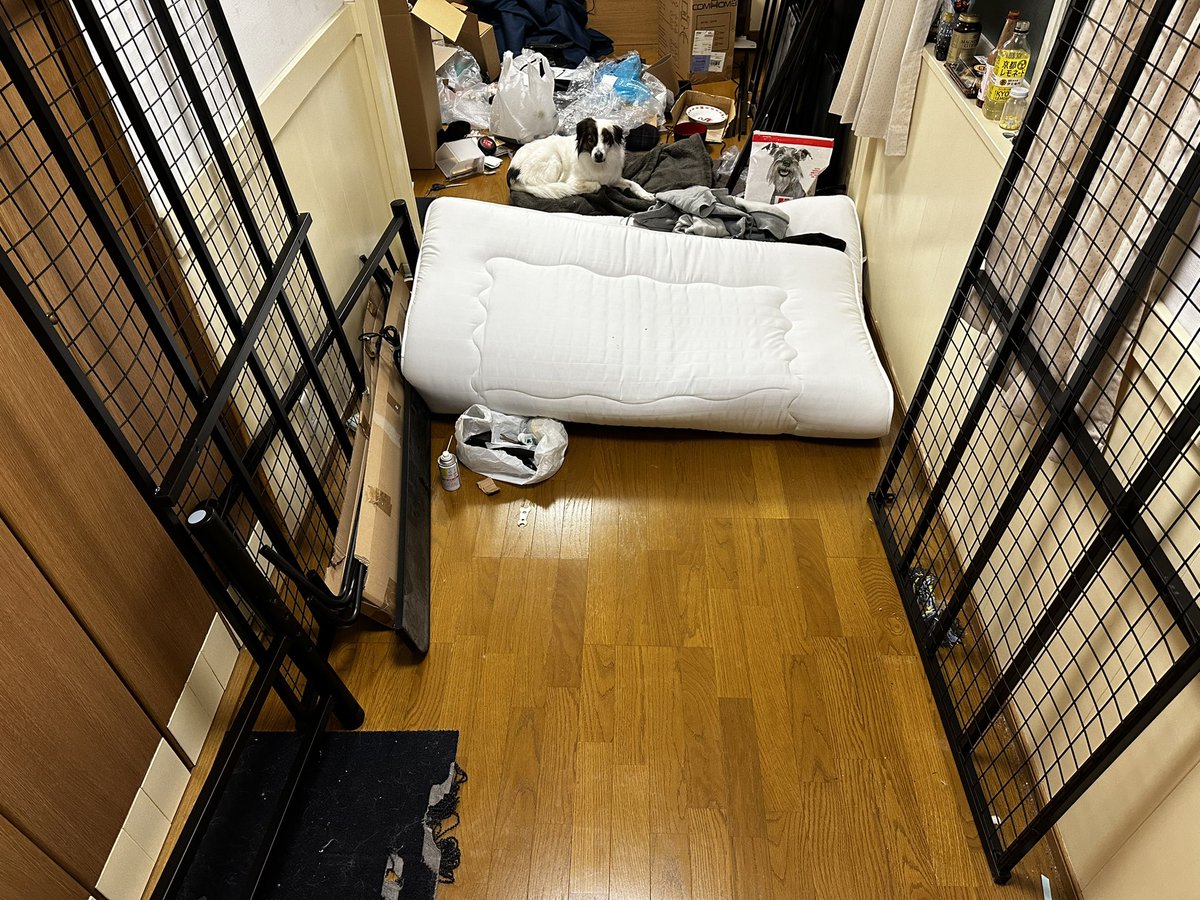 ps1lim's tweet photo. Goodbye bed. 👋
So drained. Cleaning and packing from morning to night. Listening to some @cluppo_official has soothed my soul some. And “voice” reminding me to get off my ass and move. #cluppo #OffToTokyo https://t.co/XiadF51CJJ