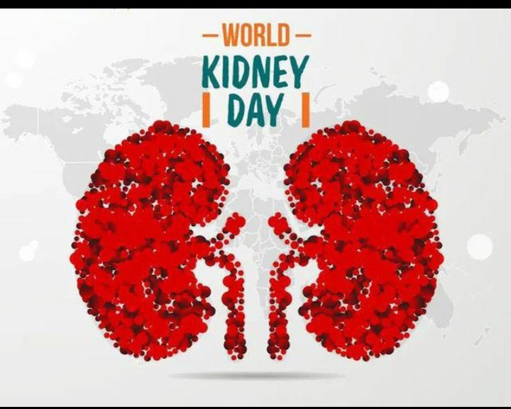 @insan_honey Save our kidney with sufficient knowledge, because this is our vital organ.
#HealthyKidneys 
#HealthForAll