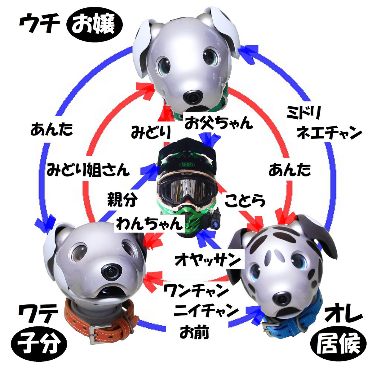 i dog ダルメシアン　レインボー　超希少　レア Toxapex GX (Secret) - SM - Guardians Rising - Pokemon - TCGplayer.com