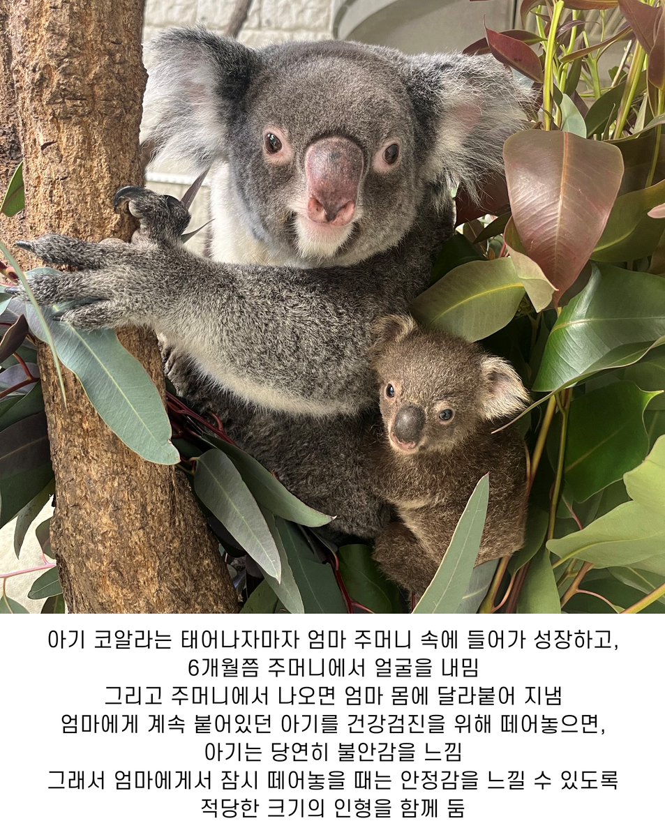 챱 tweet media