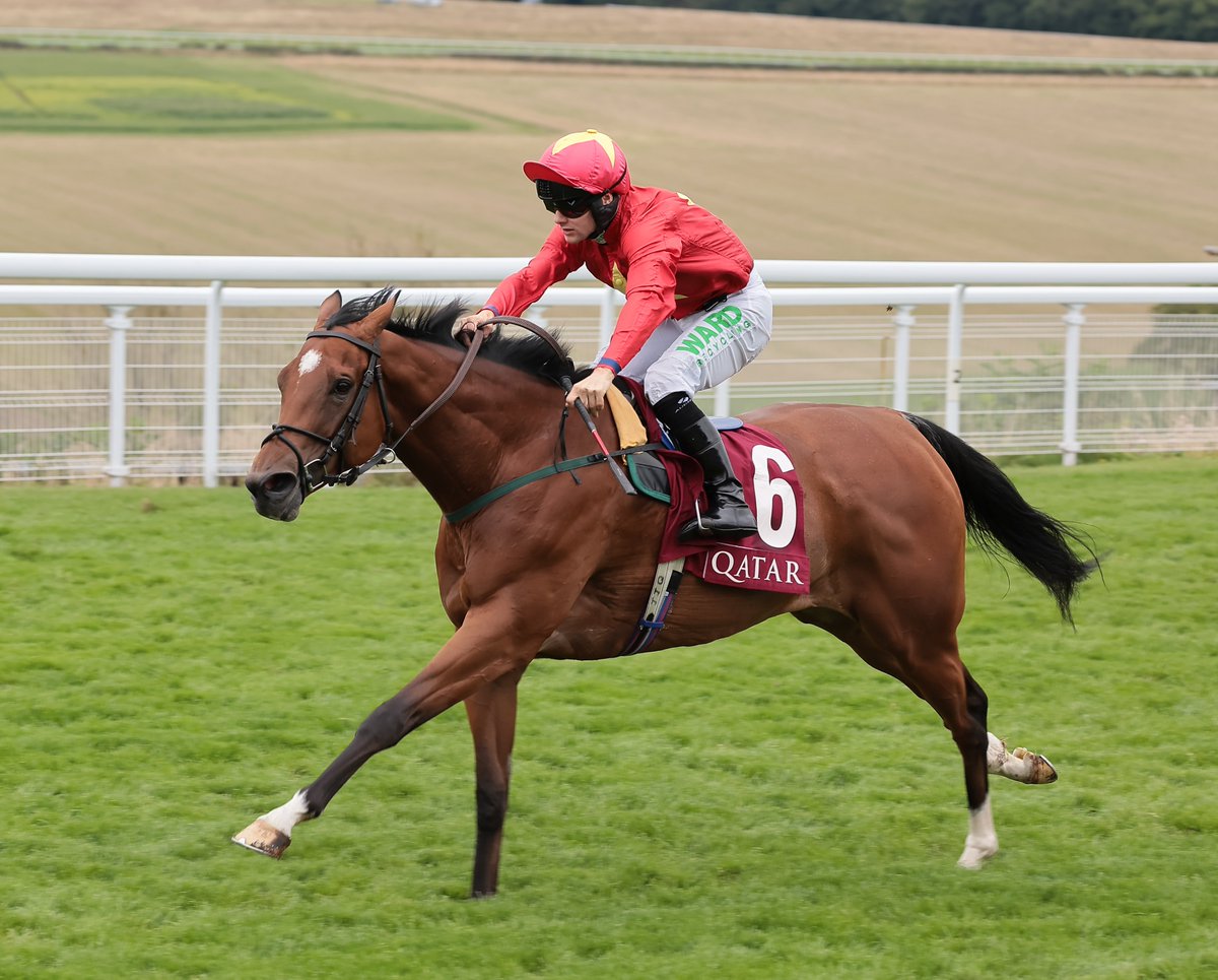 RacingPost's tweet photo. Happy retirement, Highfield Princess ❤️💛 https://t.co/7bj9ejThVy
