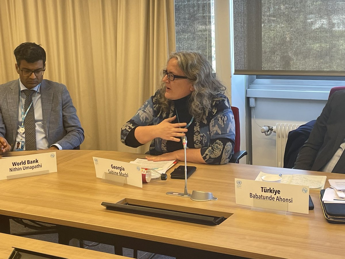 How can we build public sector capacity at scale in Europe and Central Asia to address jobs and social protection? Interesting insights from @MiaSeppo @WorldBank & 3 UN RCs during the panel discussion.