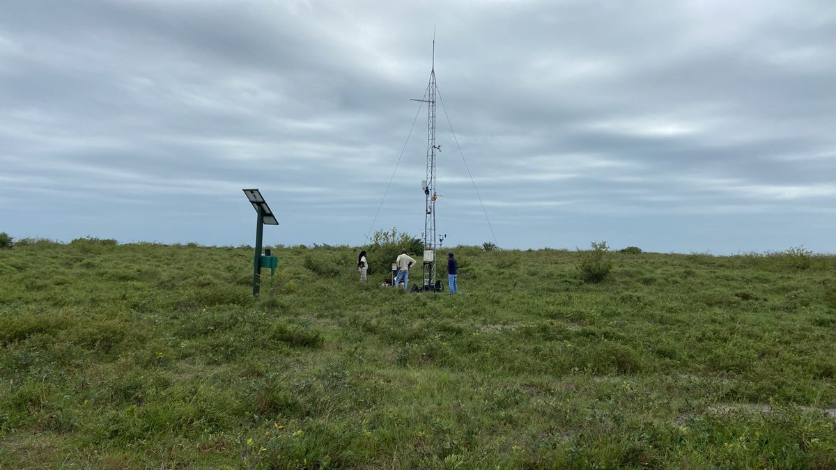 Cyclone Filipo aftermath in flat sandy Lake Sibaya catchment. Amazing to see how fast 200mm of rainfall disappeared into the ground. Monitoring of the groundwater & lake response cont. Our EC tower still standing & looking good. Updates from SAEON Grasslands Node & EFTEON team