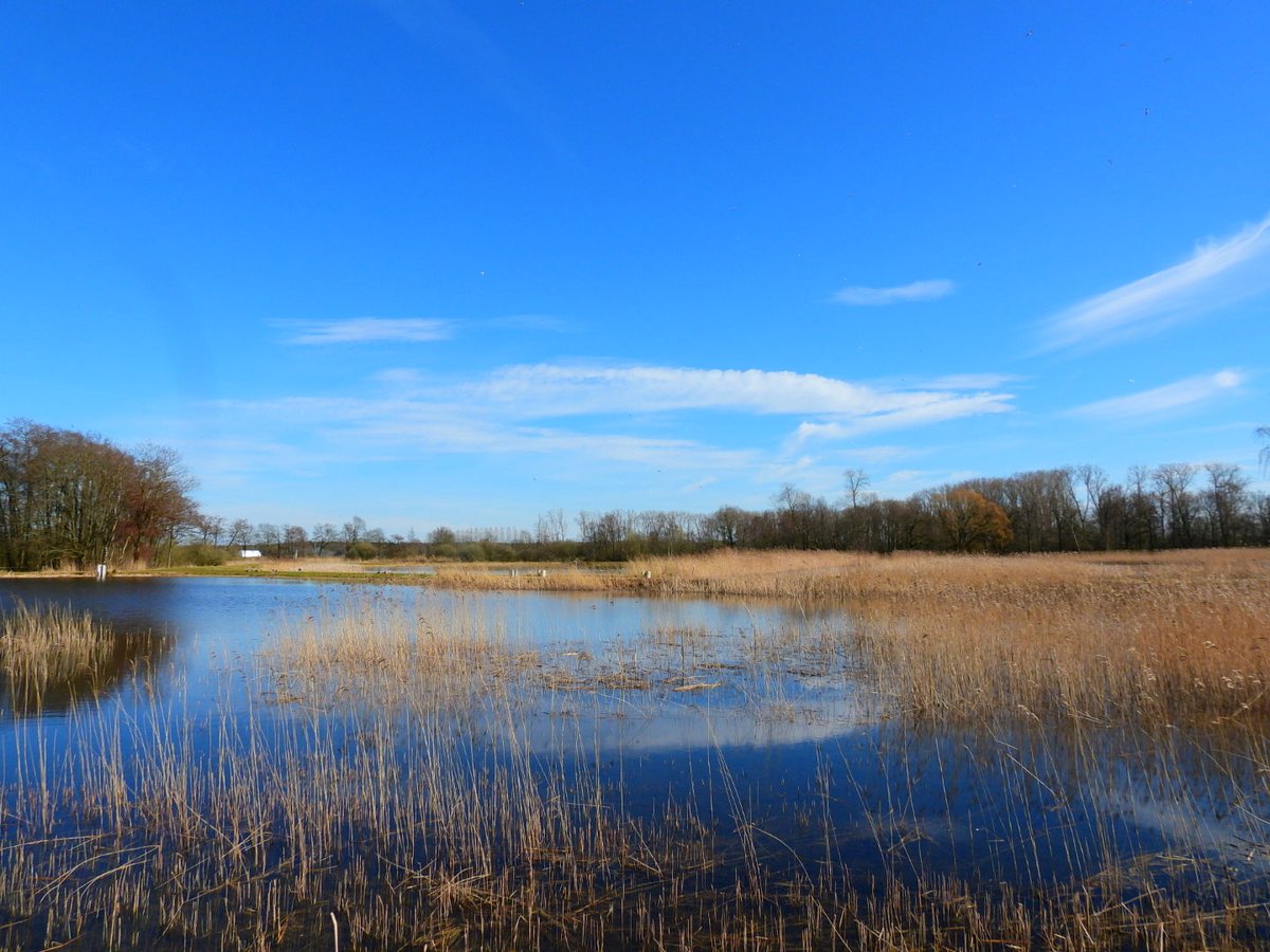 VanoppenMario's tweet photo. #vrtweer lommel 14 uur https://t.co/VHIK9iBDio