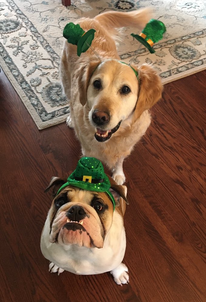 #ThrowbackThursday to 4 years ago when these two leprechauns were ready for St. Patrick’s Day. ☘️🐾❤️