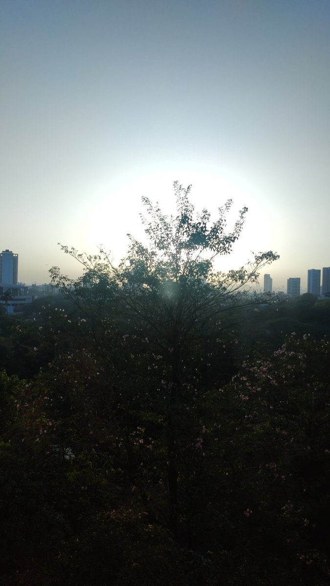 Mr_17gotshot447's tweet image. #NatureBeauty 
#photography 
#Oneplus9Pro