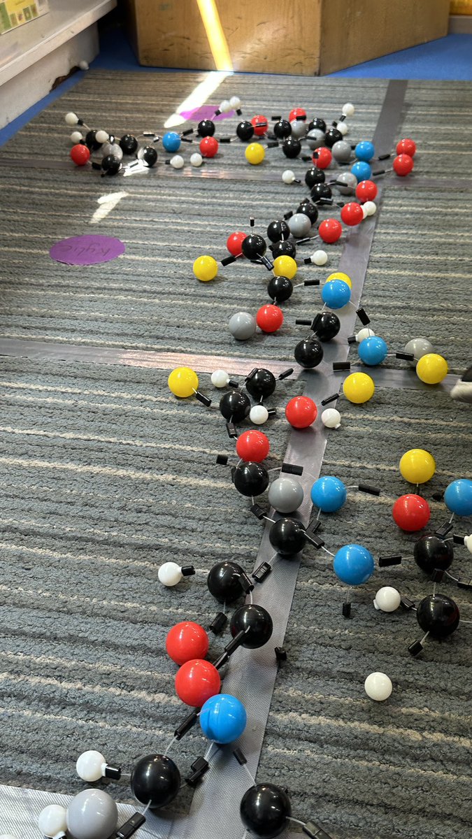 ✨ Carly Peart 🌟 tweet media