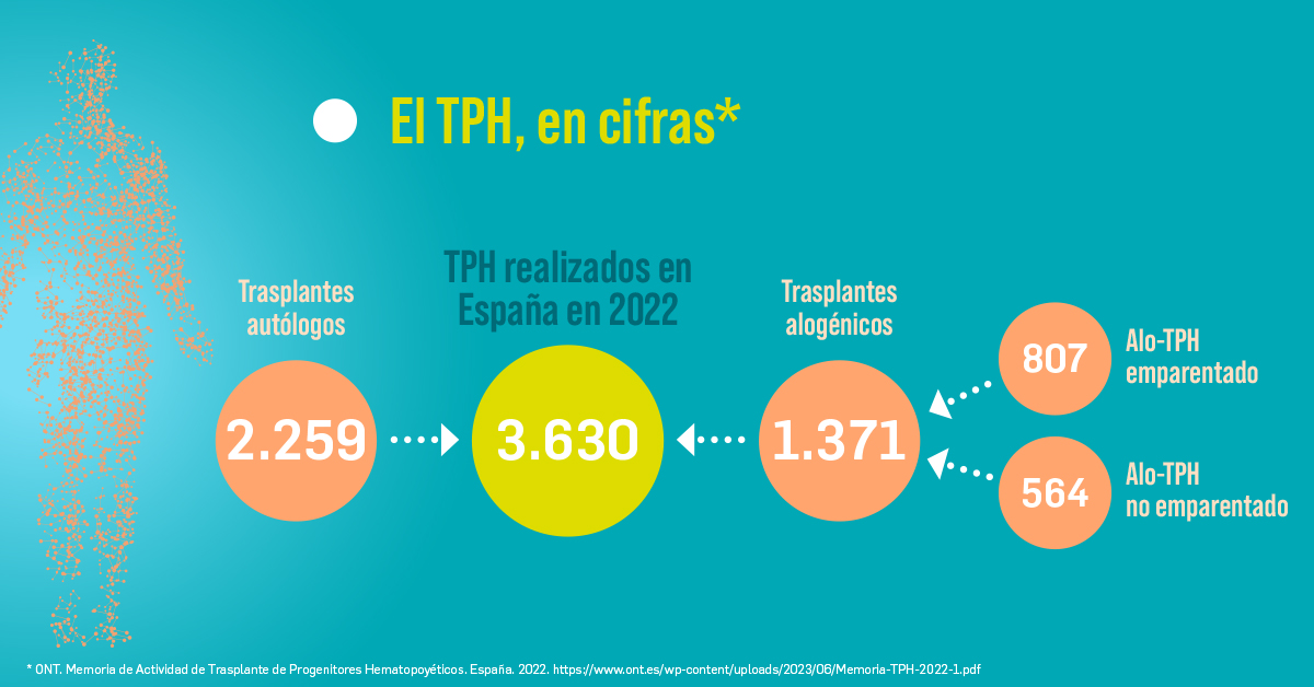 📢Hoy @GETH_info ha presentado en #Málaga datos sobre #TrasplanteDeMédulaÓsea y enfermedad de injerto contra receptor crónica #EICRc   

ℹ️ Conocemos más sobre esta enfermedad, los tipos trasplante #TPH y sus cifras 👇

#geth2024