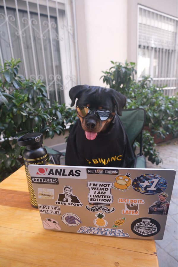 🥉 3rd place is <a href="/dr_stiglitz/">The Doctor</a>

We couldn’t say no to the swag.