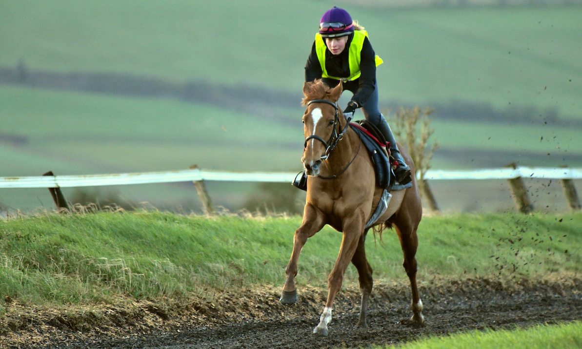 Eleftheria (Mehmas ex Kajool) runs in the Betting.Bet Horse Racing Tips Aggregator Fillies' Novice Stakes at Chelmsford, due off at 6:00 this evening. She is well and races over 7 furlongs in the hands of jockey Rossa Ryan.