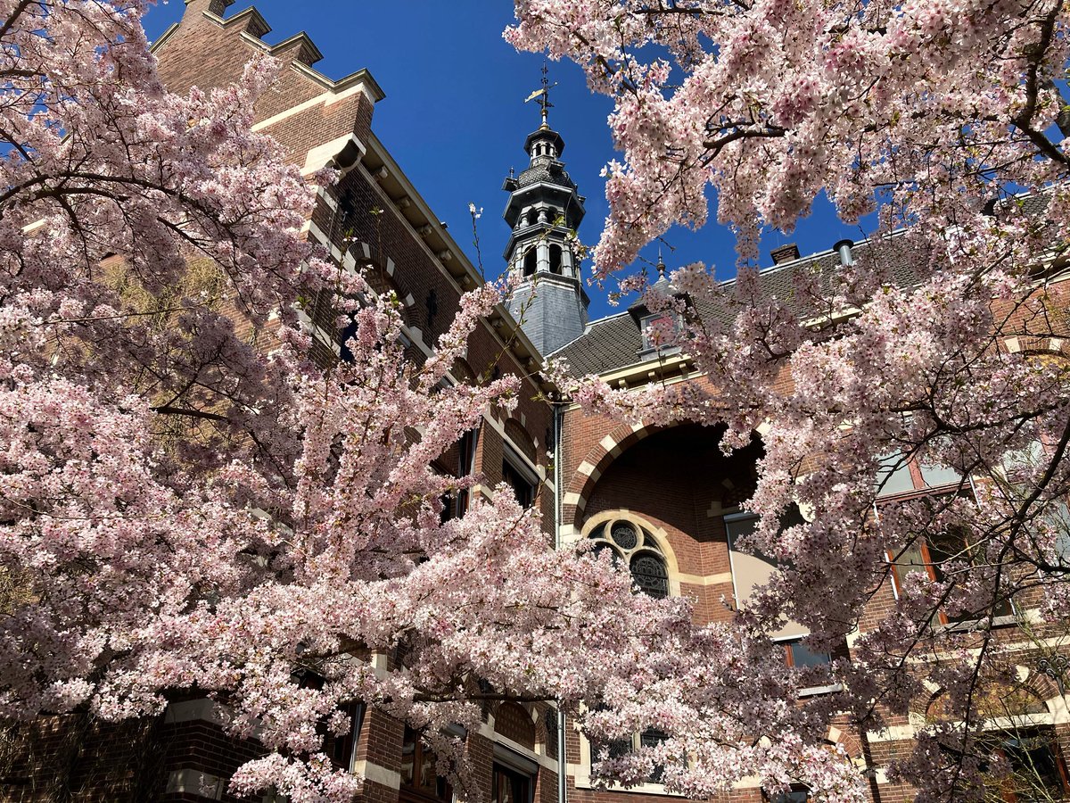 Sandy van Heerde tweet media