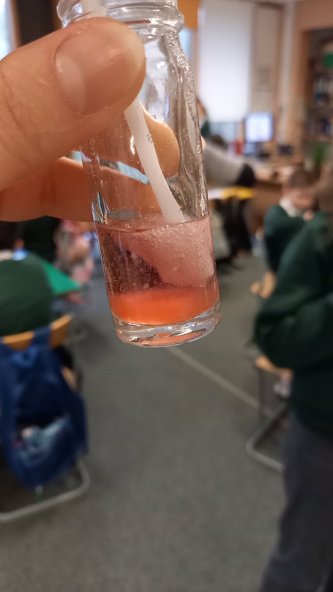 P5 pupils at Hillhead Primary in Glasgow are having a blast today learning about #DNA and extracting it from 🍓🍓. They're also asking amazing questions! I can see brilliant scientists in the making 🧫🧪🧬 🔬 #BritishScienceWeek #STEM @ScotSTEMAmb