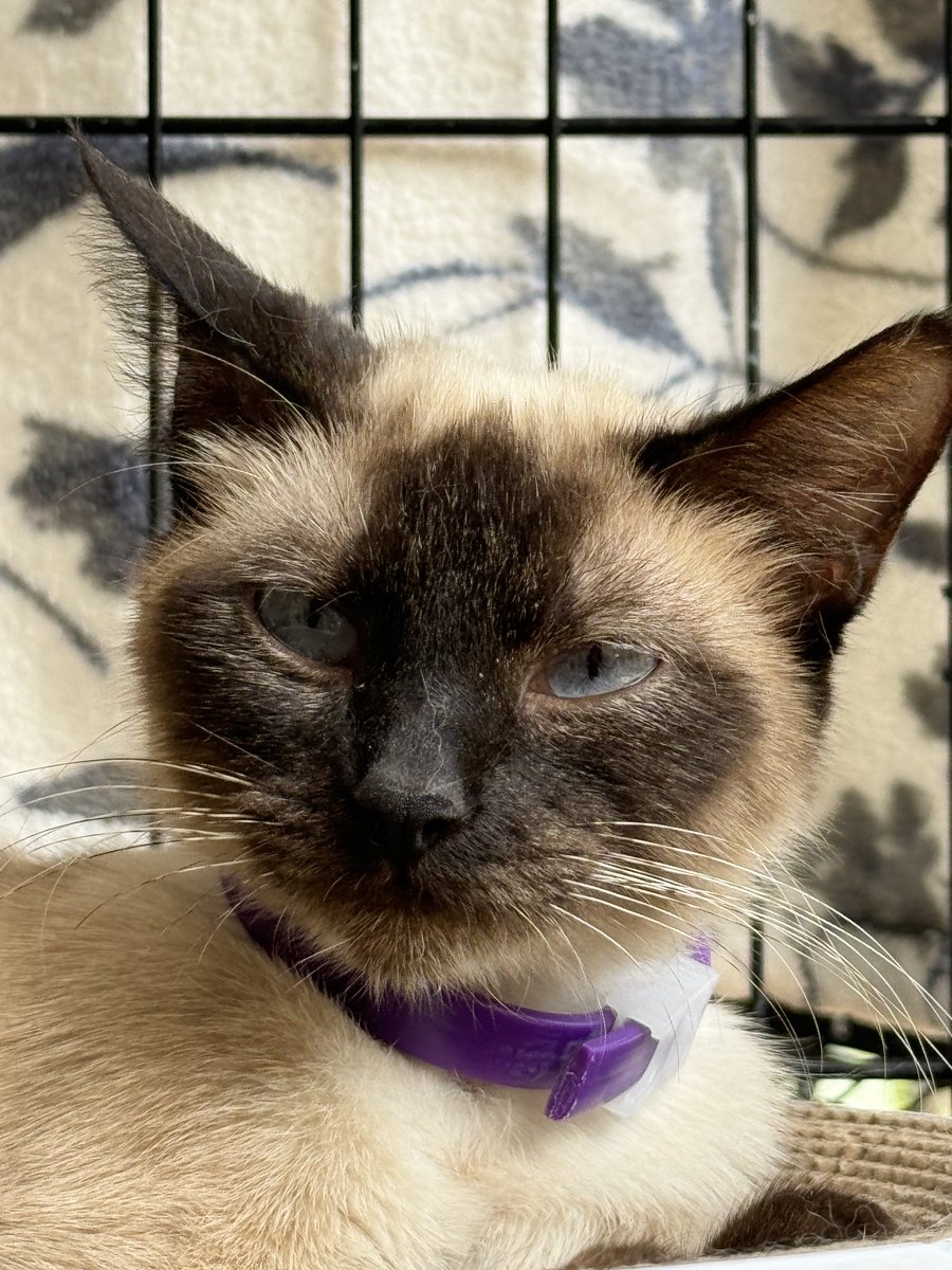 JANE 🐾🦋❤️💫 🪐🌎 tweet media