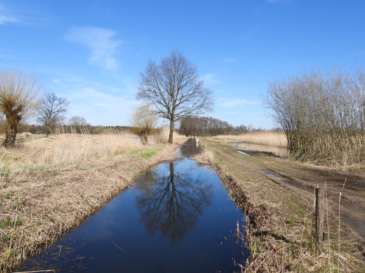 VanoppenMario's tweet photo. #vrtweer Lommel 14 uur https://t.co/7lfZ781et0