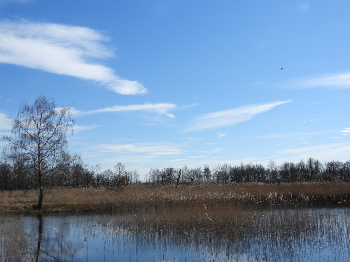 VanoppenMario's tweet photo. #vrtweer lommel 14 uur https://t.co/KeMNNzxysh