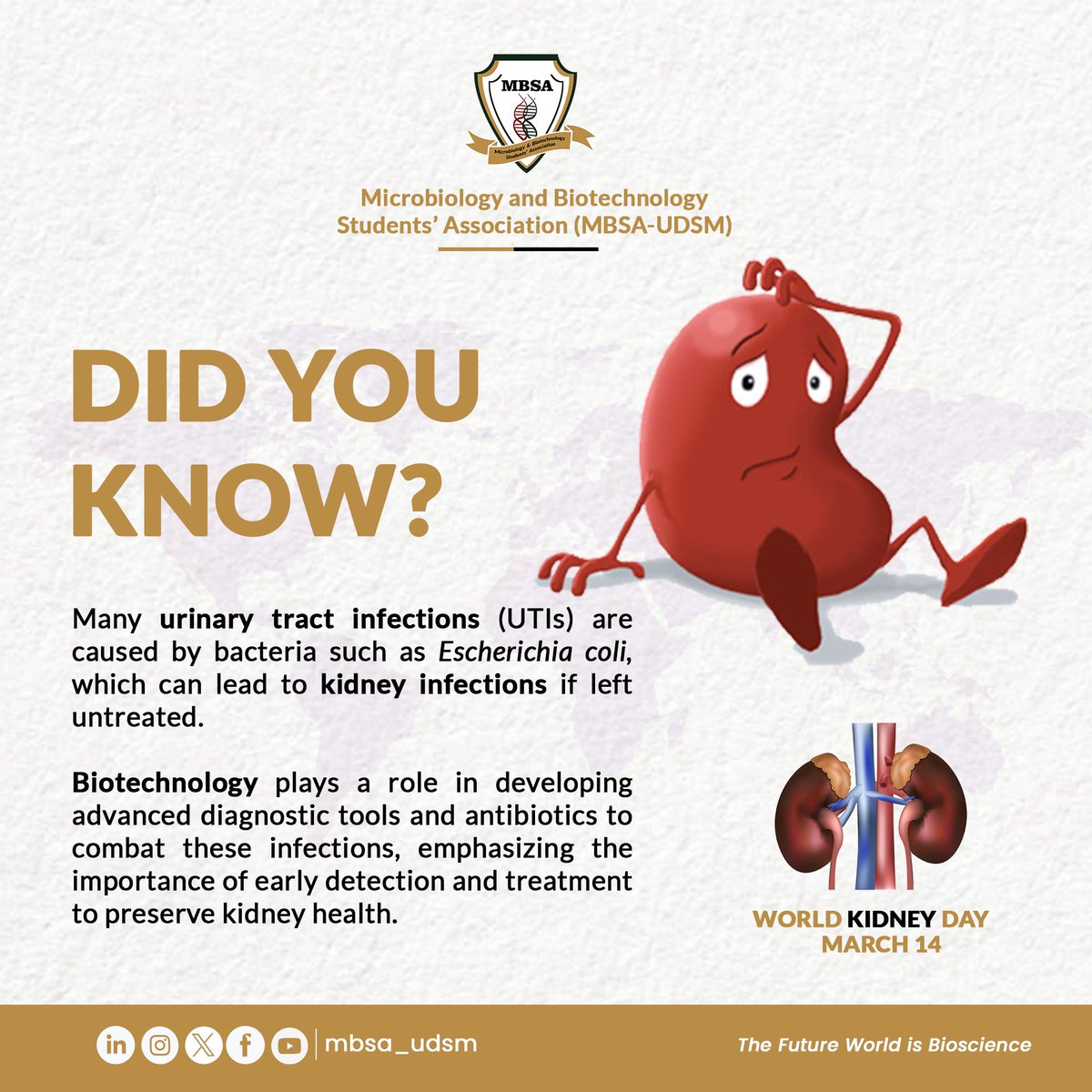 mbsa_udsm's tweet photo. Filtering out the facts on World Kidney Day! #HealthyKidneysHealthyLife #mbsaudsm https://t.co/S8vOYCnXto