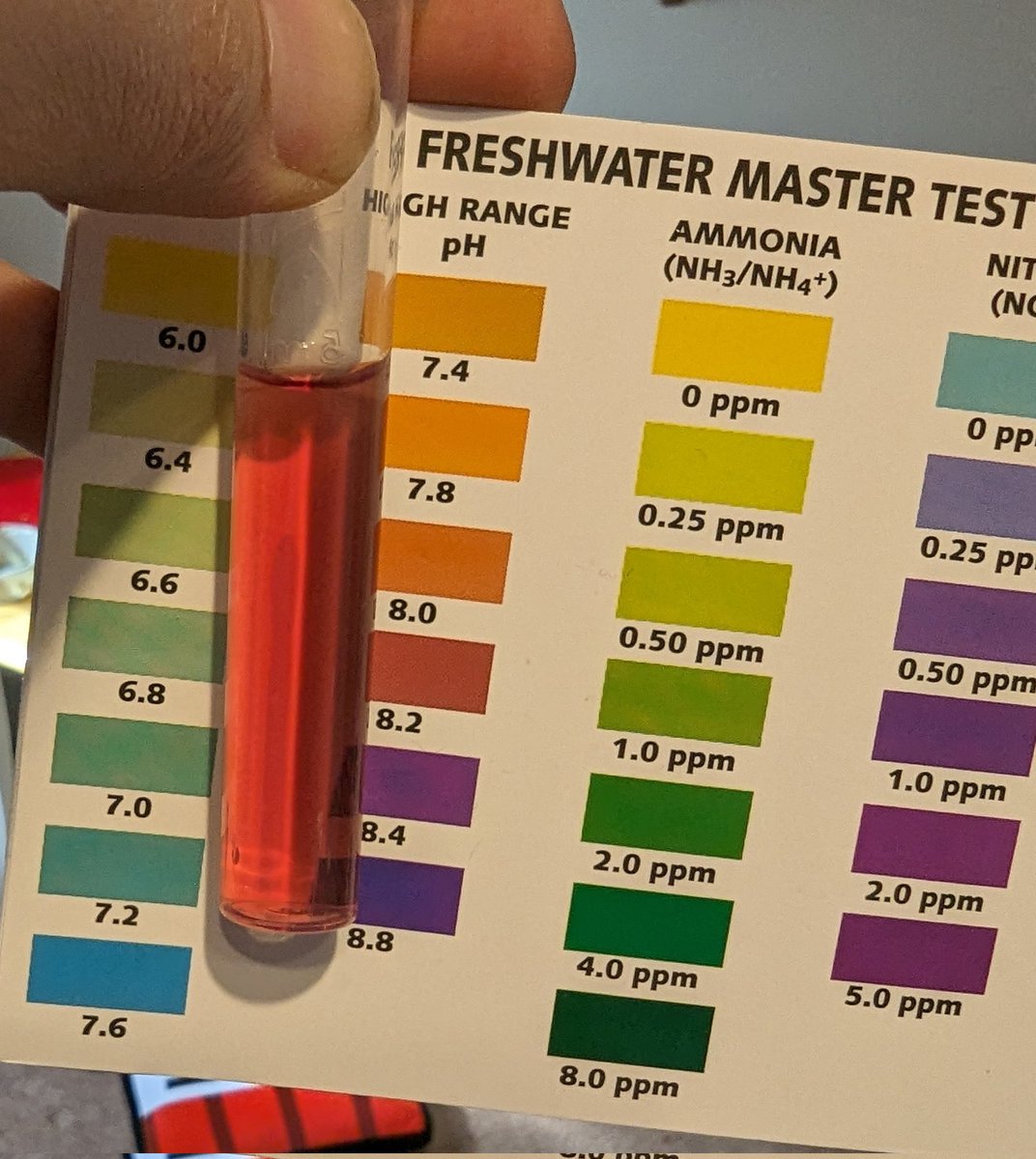 Not content with scuppering my dream of being an airline pilot, colour blindness also makes testing the water in my new aquarium a bloody nightmare! Can I have new eyes plz? 👀