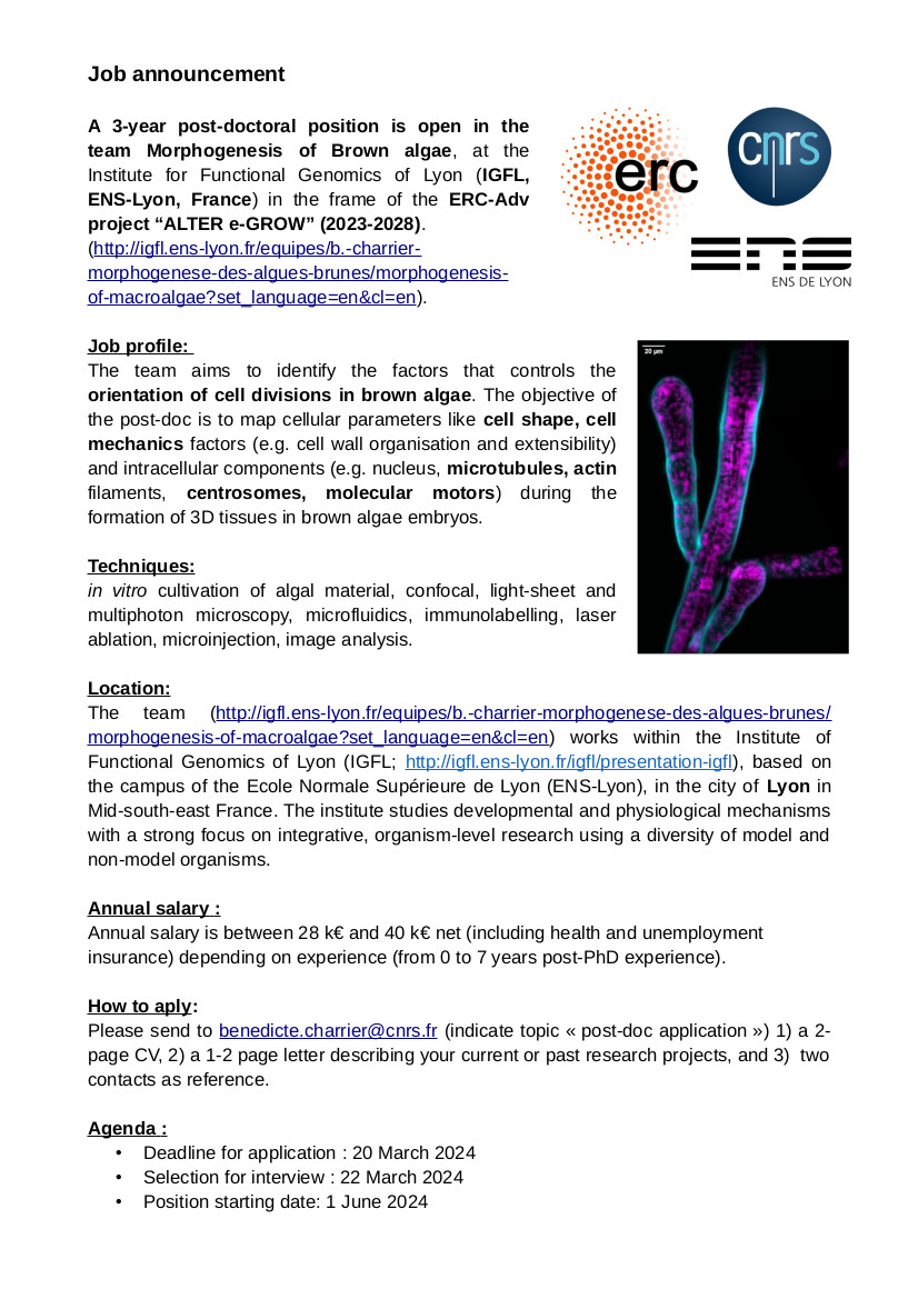📢 Reminder: 3-year post-doc on live-imaging and cell biology in marine brown algae 🌊. In ENS-Lyon, 🇨🇵. Deadline 20 March!!!