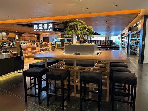 GT_jpculture's tweet photo. \販売中/
【盆栽】真柏 (シンパク) Chinese juniper
樹齢約150年
#銀座蔦屋書店 #銀座 #蔦屋書店 #ギンザシックス #盆栽 #真柏 #伊吹 #イブキ #ヒノキ #御神木 #Ginza #GinzaSix #Bonsai #Shinpaku #chinesejuniper #Ibuki #Hinoki #goshinboku https://t.co/40fWtSpK9F