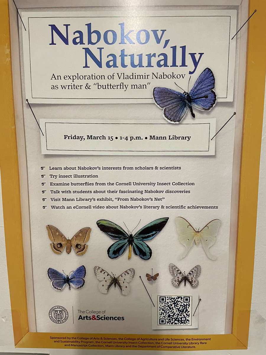 This afternoon at 5pm is the opening of the Nabokov butterfly exhibit at @Cornell @Mann_Library with specimens from the @InsectsCornell collection 🦋🦋🦋🦋 @CornellCALS Naomi Pierce @HarvardOEB will give a presentation at 4pm before the opening 🤩 And more events tomorrow too!