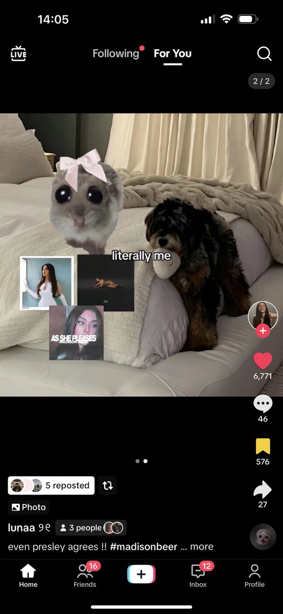 whoever made this ily