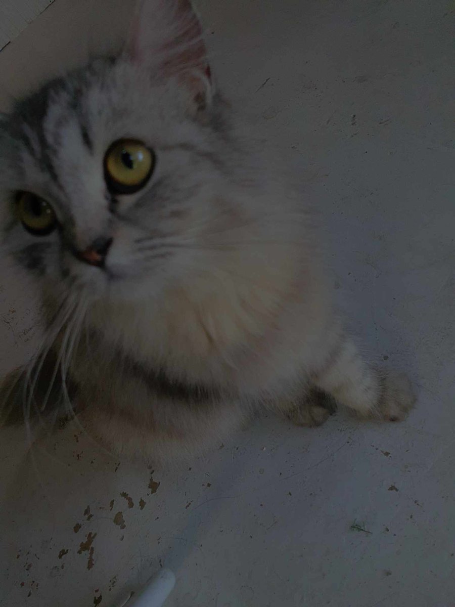 EdRhiann's tweet image. ang cute cute mO, AAAAAAA🫶