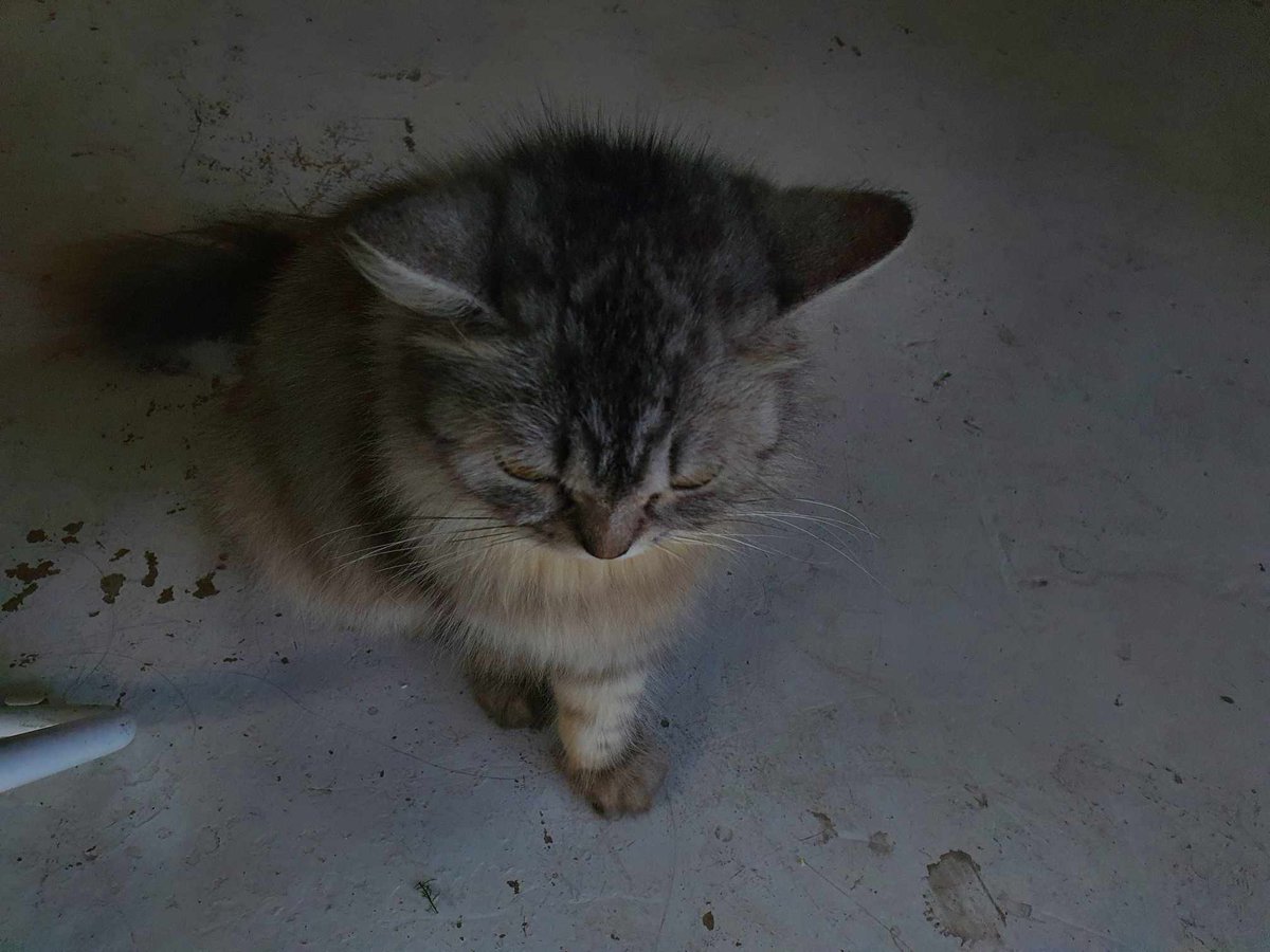 EdRhiann's tweet image. ang cute cute mO, AAAAAAA🫶