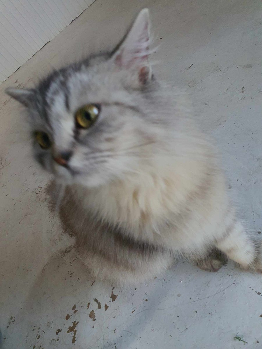 EdRhiann's tweet image. ang cute cute mO, AAAAAAA🫶