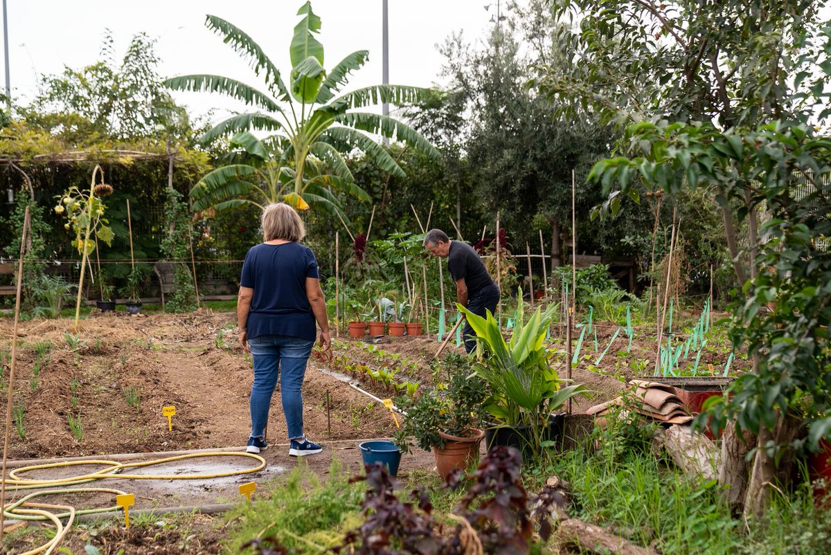 BCN_EspaiPublic's tweet photo. 🧑🏼‍🌾 T'agraden els horts? Doncs apuntat al curs 'Hort ecològic a terra o en taula'!

Ofereix una experiència completa en el cultiu d’hortalisses.

🔛 17 d'abril
🔚 15 de maig
📍 Aula Ambiental Bosc Turull

Inscripcions fins al 12 d’abril! 

ℹ️ https://t.co/B10LHvzlAe https://t.co/QUCWo5nYkE