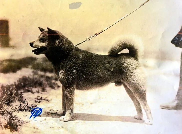 Please head over to the new tg. tweet media