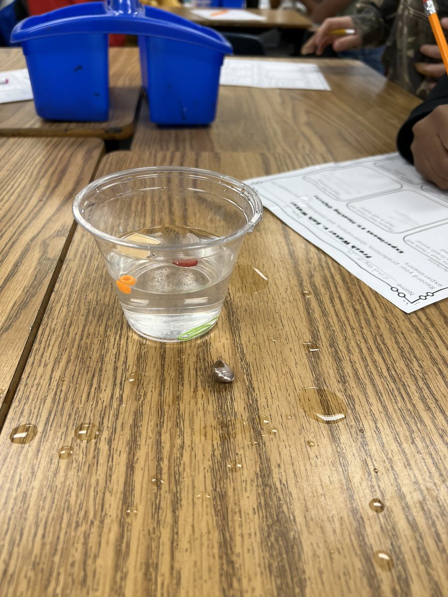 OdomOwls's tweet photo. Experimenting with Salinity! Does it sink or float?
#FunInFourth @MMPTurtles https://t.co/D9qRXRQ9Ix