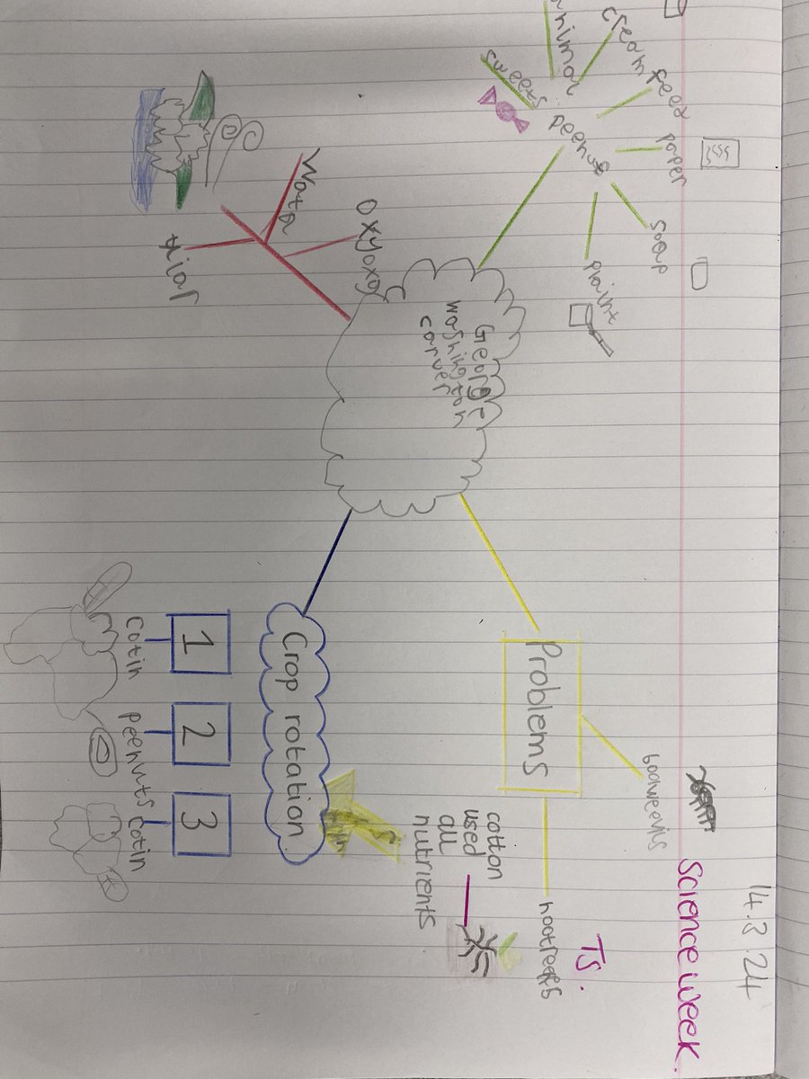 ArchibaldFirst's tweet photo. For Science week, year 3 have been learning about George Washington Carver⦠look at our fabulous mindmaps! #afsscience #scienceweek https://t.co/vPqYNJVwNE