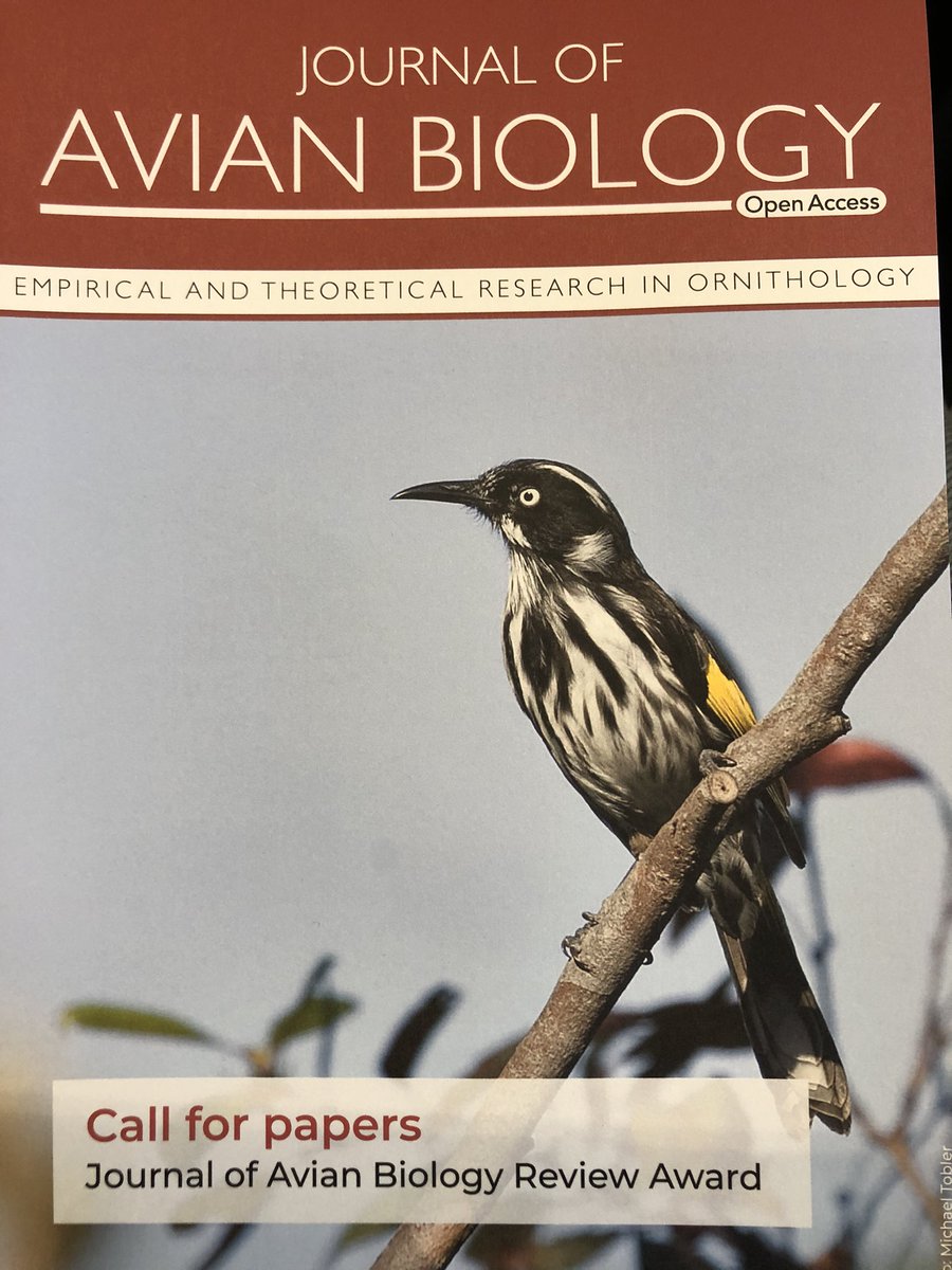 Want to know more about our Journal of Avian Biology Review Award and how to participate in the competition? Visit our booth at #NordicOikos2024 or talk to our managing editor @toblermichi_SE between sessions! avianbiology.org/authors/jab-re… @AvianBiology #OikosTogether #ornithology