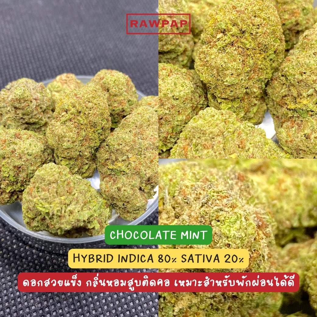 weed420tpp's tweet photo. สนใจตัวไหนสั่งกัญมาได้เลยครับลูกพี่ 🙏🏻💚
IG : rawpap_th
FB : Rawpap
Line@ : https://t.co/xo7jupTihP 
#กัญชา #กัญชาออแกนิค #กรุงเทพ #กัญชาog #กัญชาเสรี #สุขุมวิท #อุดมสุข #ศรีนครินทร์ #บางนา #กัญชาสุขุมวิท #กัญชาอุดมสุข #อ่อนนุช #บางจาก #ตลาดรถไฟ #ศรีอุดม #กัญชาราคาถูก #กัญชากทม https://t.co/mJxWeLQopx
