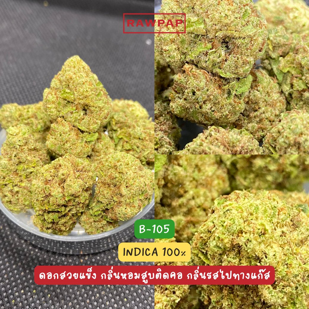 weed420tpp's tweet photo. สนใจตัวไหนสั่งกัญมาได้เลยครับลูกพี่ 🙏🏻💚
IG : rawpap_th
FB : Rawpap
Line@ : https://t.co/xo7jupTihP 
#กัญชา #กัญชาออแกนิค #กรุงเทพ #กัญชาog #กัญชาเสรี #สุขุมวิท #อุดมสุข #ศรีนครินทร์ #บางนา #กัญชาสุขุมวิท #กัญชาอุดมสุข #อ่อนนุช #บางจาก #ตลาดรถไฟ #ศรีอุดม #กัญชาราคาถูก #กัญชากทม https://t.co/mJxWeLQopx