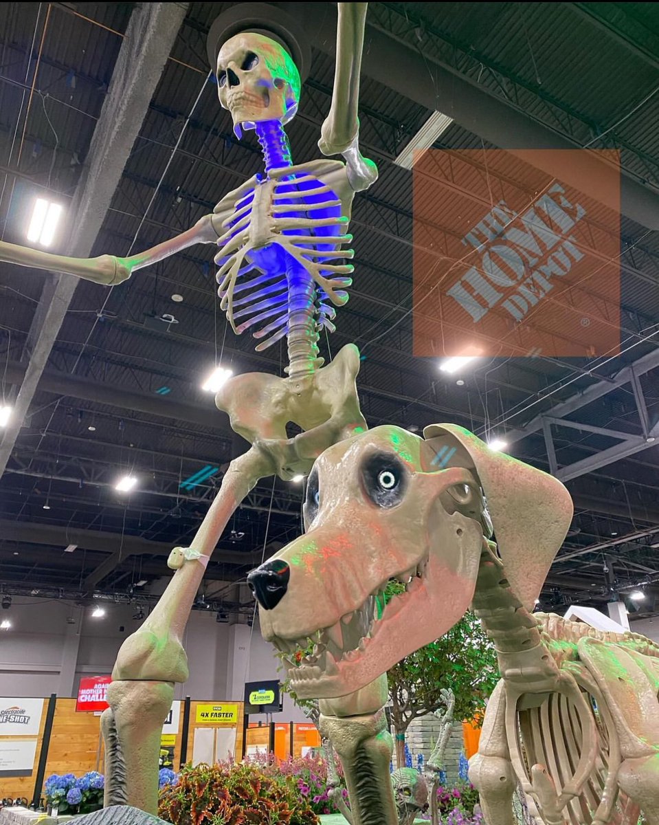 Horror4Kids tweet media